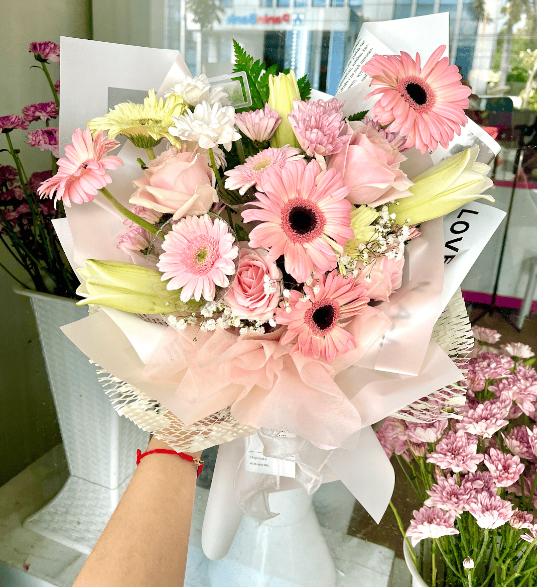 Gerbera Bliss Big