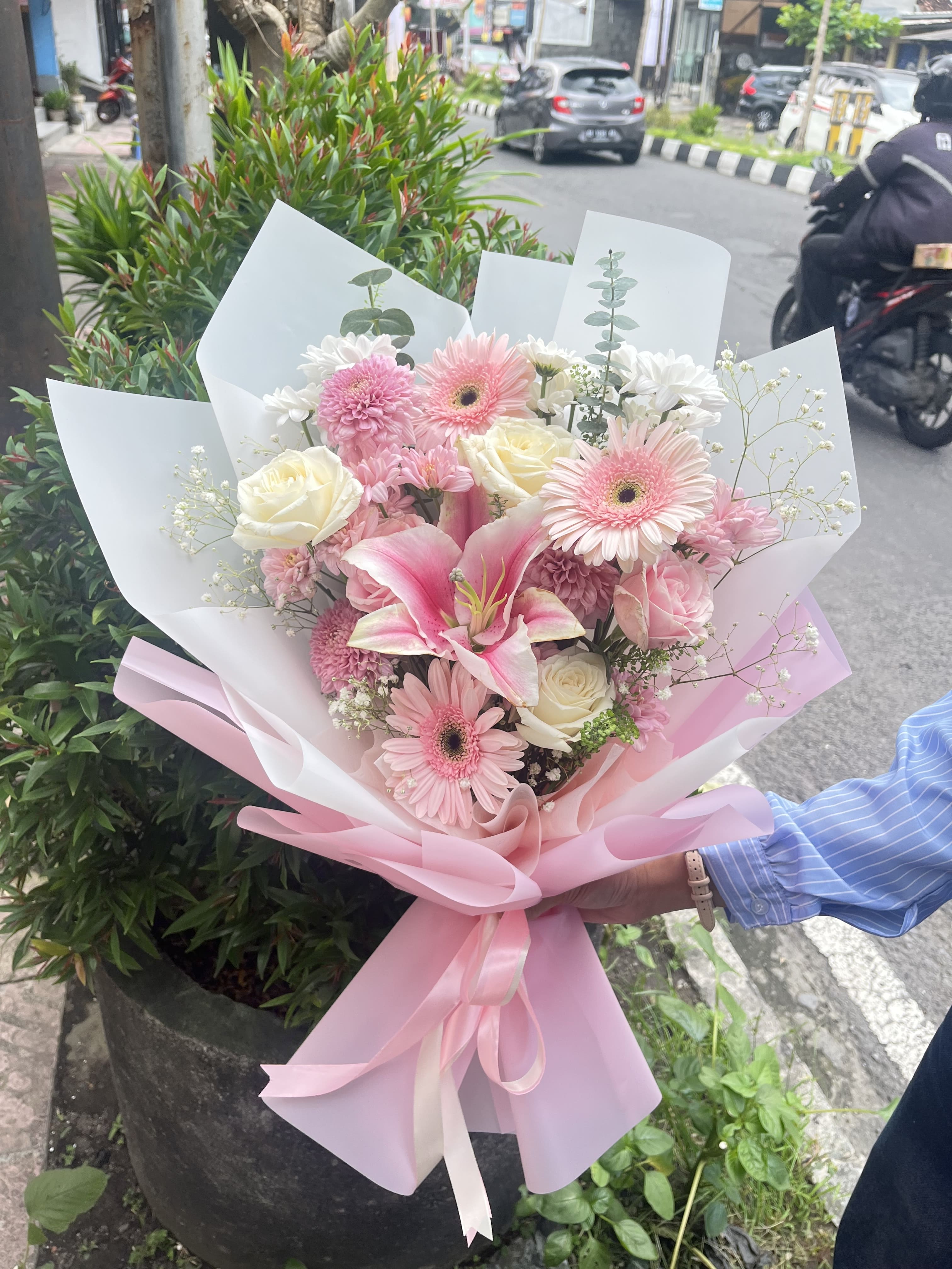 Blush Casablanca