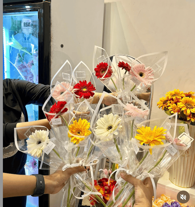 Single Gerbera
