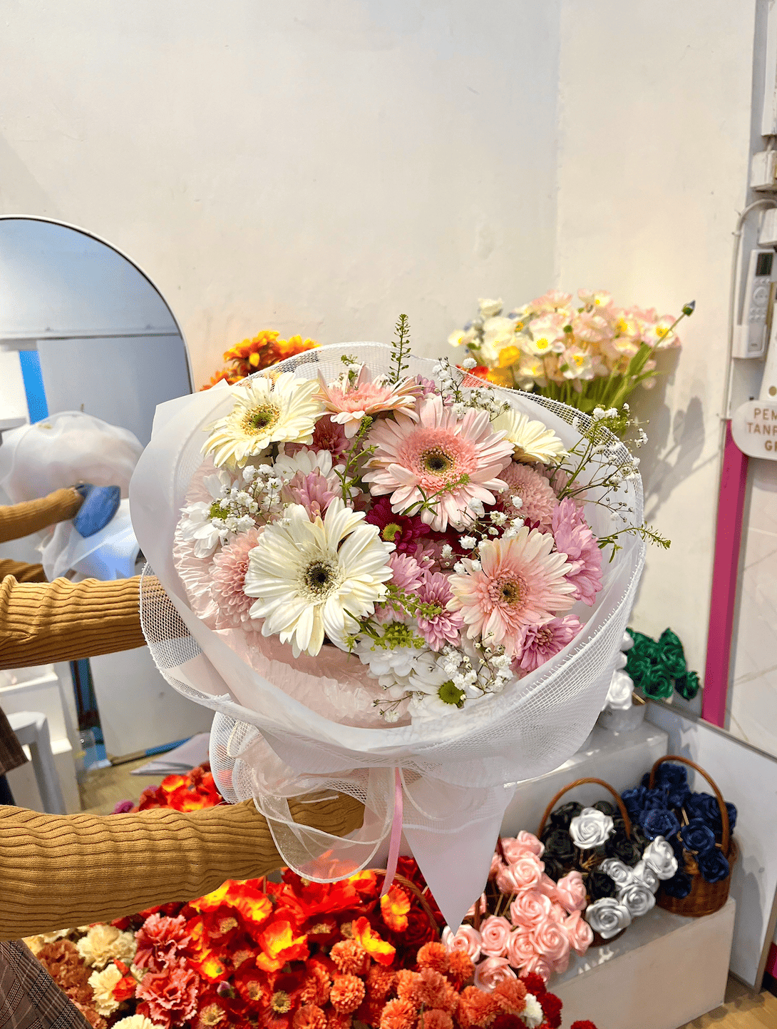 Gerbera Bloom