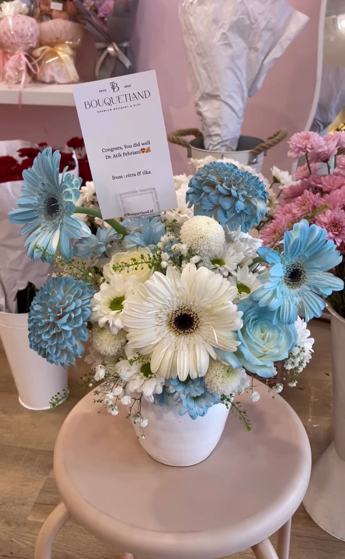 Blue Majestic bloom medium
