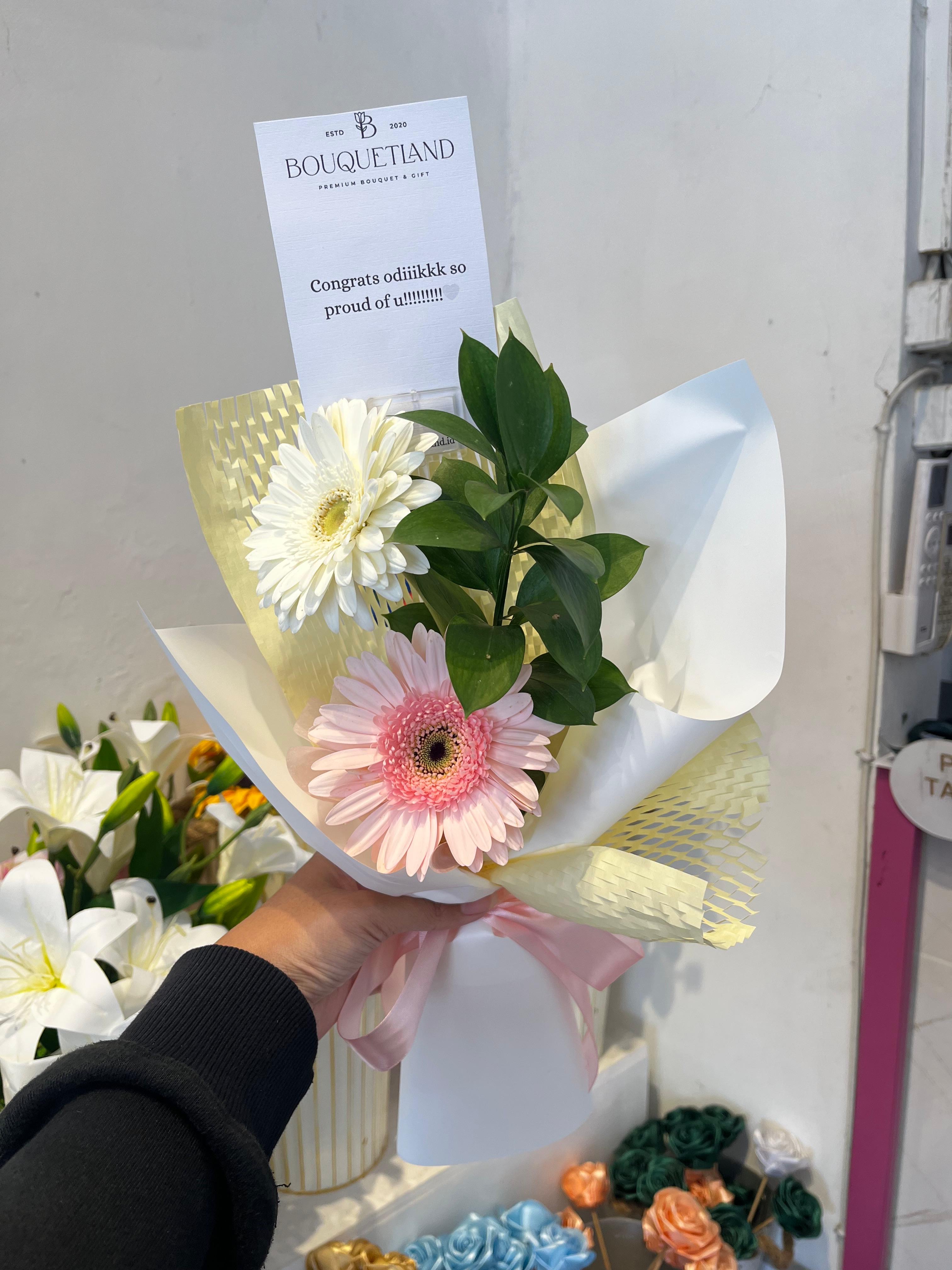 Double Gerbera